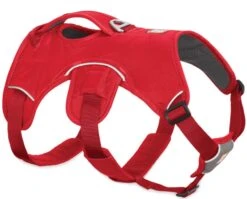 Ruffwear WEB MASTER™ Red Currant - HUNDEGESCHIRR