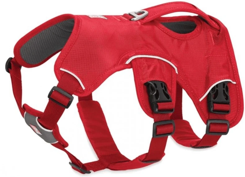 Ruffwear WEB MASTER™ Red Currant - HUNDEGESCHIRR 2 Ruffwear WEB MASTER™ Red Currant - HUNDEGESCHIRR – Bild 2