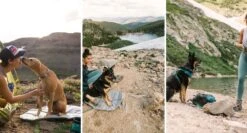 Ruffwear HIGHLANDS Pad - Hunde Isomatte -Outdoor Ausrüstung 13105 Ruffwear HIGHLANDS Pad Hunde Isomatte 6