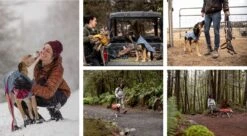 Ruffwear OVERCOAT™ Utility Jacket - Hunde Jacke -Outdoor Ausrüstung 13446 Ruffwear OVERCOAT Utility Jacket Hunde Jacke 7