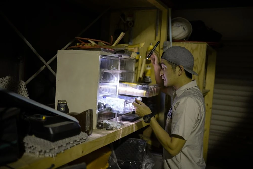 LED Lenser P4R Core - Taschenlampe 5 LED Lenser P4R Core - Taschenlampe – Bild 5