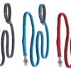 Ruffwear Roamer Leash™ - Hundeleine