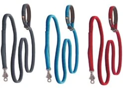 Ruffwear Roamer Leash™ - Hundeleine