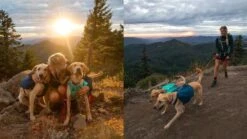 Ruffwear Front Range™- Hunderucksack -Outdoor Ausrüstung 13838 Ruffwear Front Range Hunderucksack 9