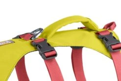 Ruffwear FLAGLINE™ - HUNDEGESCHIRR -Outdoor Ausrüstung 16130 Ruffwear FLAGLINE HUNDEGESCHIRR 3