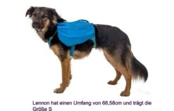Ruffwear APPROACH™- Hunderucksack -Outdoor Ausrüstung 16133 Ruffwear APPROACH Hunderucksack 9