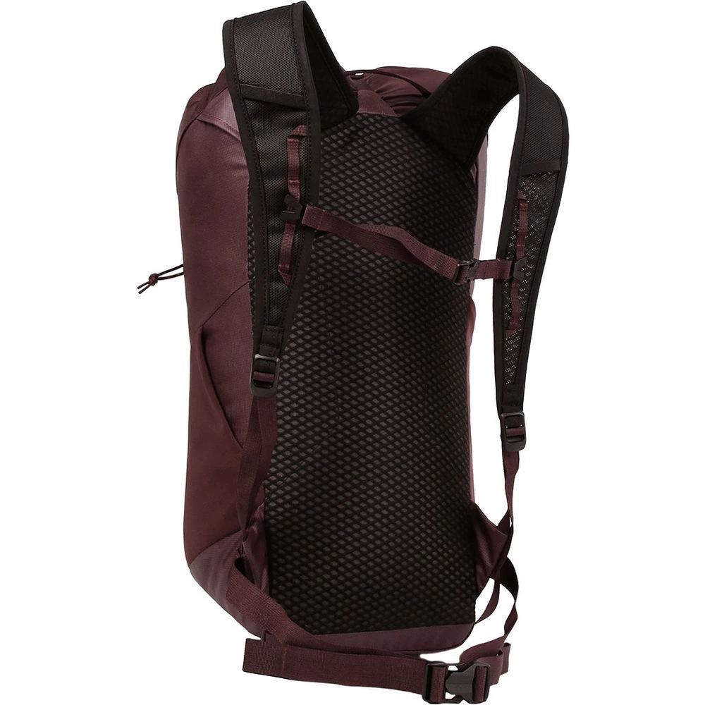 BLUE ICE Dragonfly 26 - Tourenrucksack 5 BLUE ICE Dragonfly 26 - Tourenrucksack – Bild 5