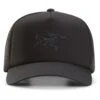 Arcteryx Bird Trucker Curved - Cap