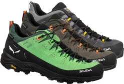 Salewa Alp Trainer 2 GTX Men - Zustiegsschuhe
