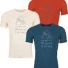Ortovox 150 Cool MTN Protector TS Men - T-Shirt